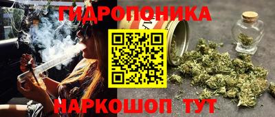 молекула духа Кулебаки