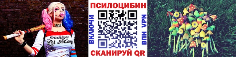 купить   Знаменск  Псилоцибиновые грибы MAGIC MUSHROOMS 