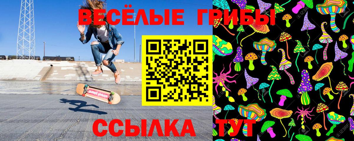 Знаменск  Галлюциногенные грибы Magic Shrooms  Вход с VPN  Галлюциногенные грибы Psilocybe 