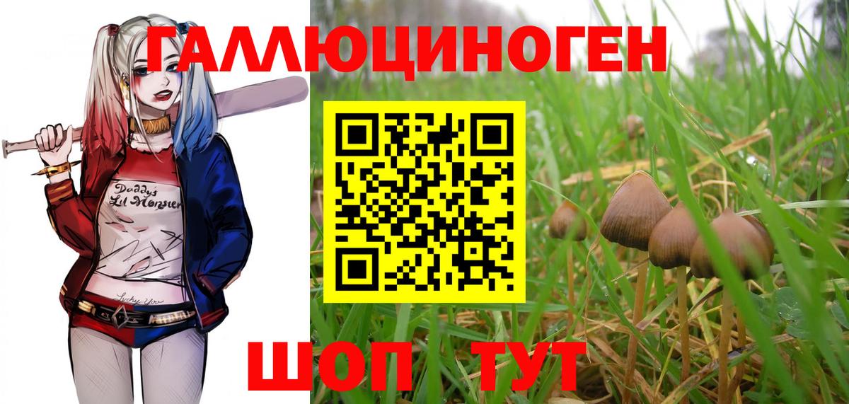 Псилоцибиновые грибы GOLDEN TEACHER Знаменск