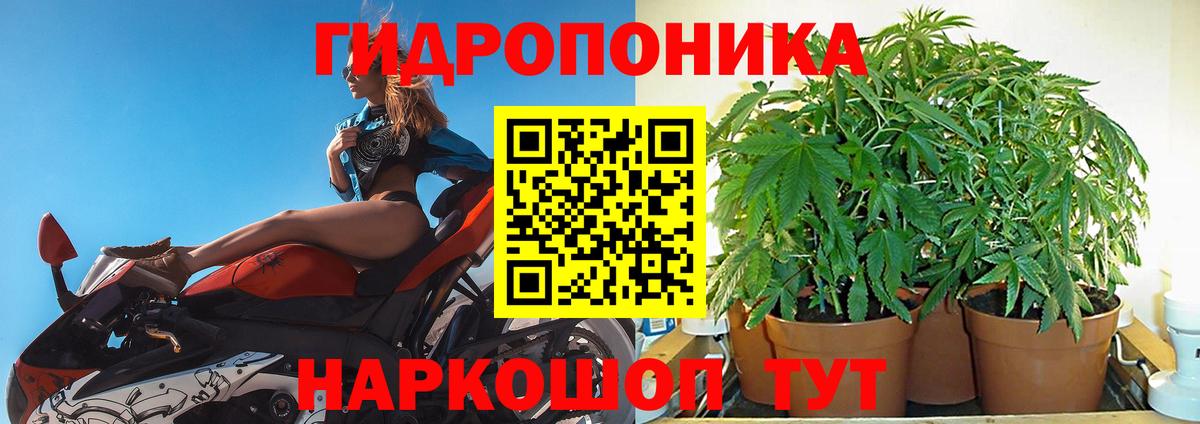 Марихуана White Widow Знаменск